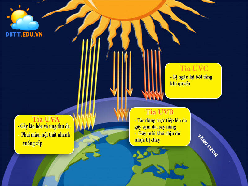 Chức năng tầng ozon là gì? Tầng ozon hấp thụ hầu hết các tia cực tím