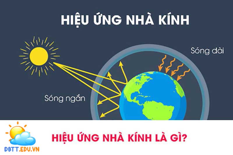 Hiệu ứng nhà kính là gì? 5 nhóm khí gây ra hiệu ứng nhà kính